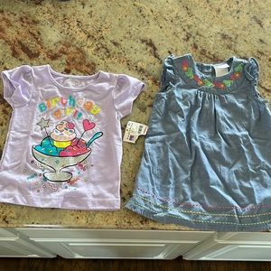 12 months birthday shirt (Never work) and dress